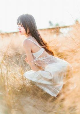 麻辣女兵免费版电视剧_国产剧超清免费观看