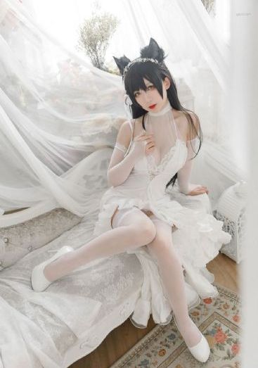 野兽之道_免费高清在线观看